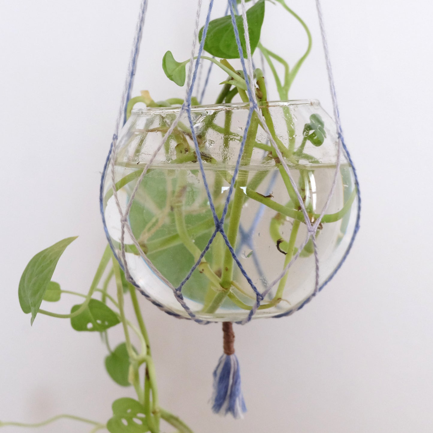 Supporto sospeso per piante