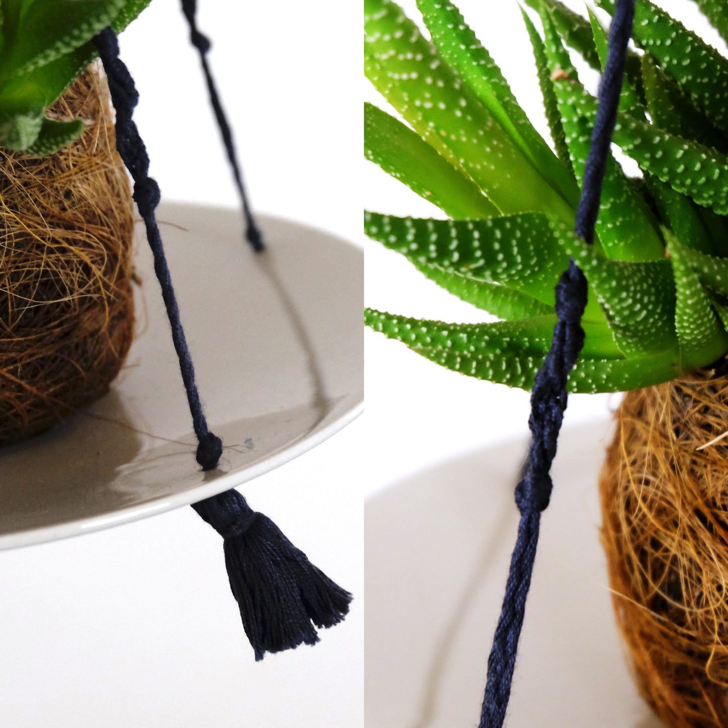 Supporto sospeso per piante.