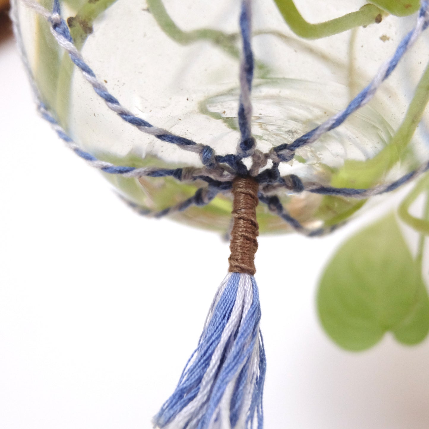 Supporto sospeso per piante