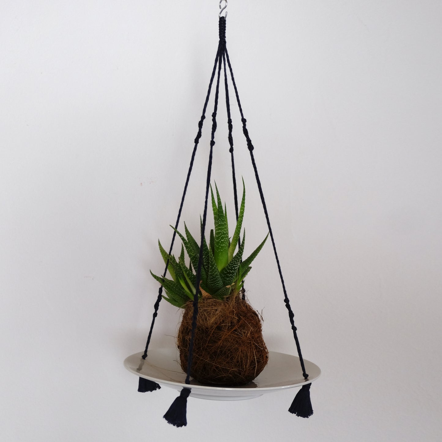 Supporto sospeso per piante.