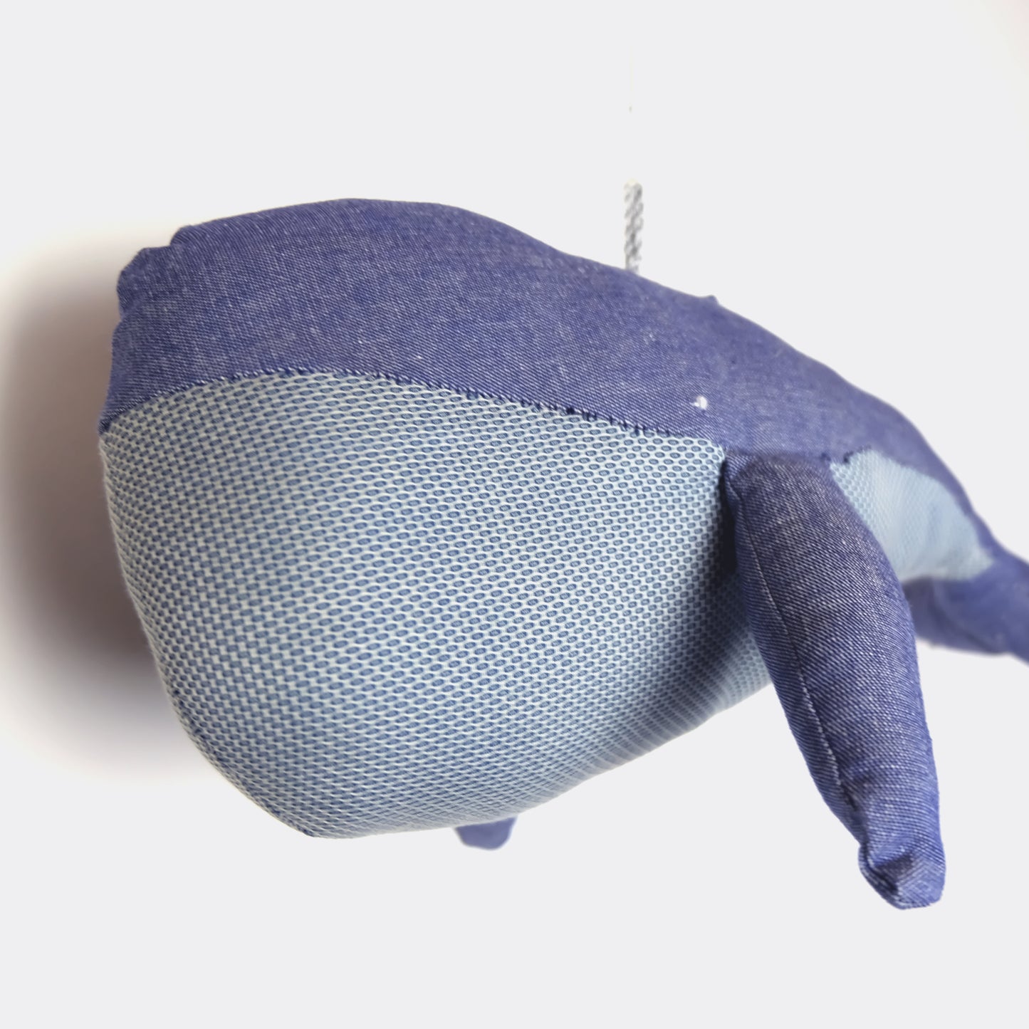 Pupazzo balena azzurra